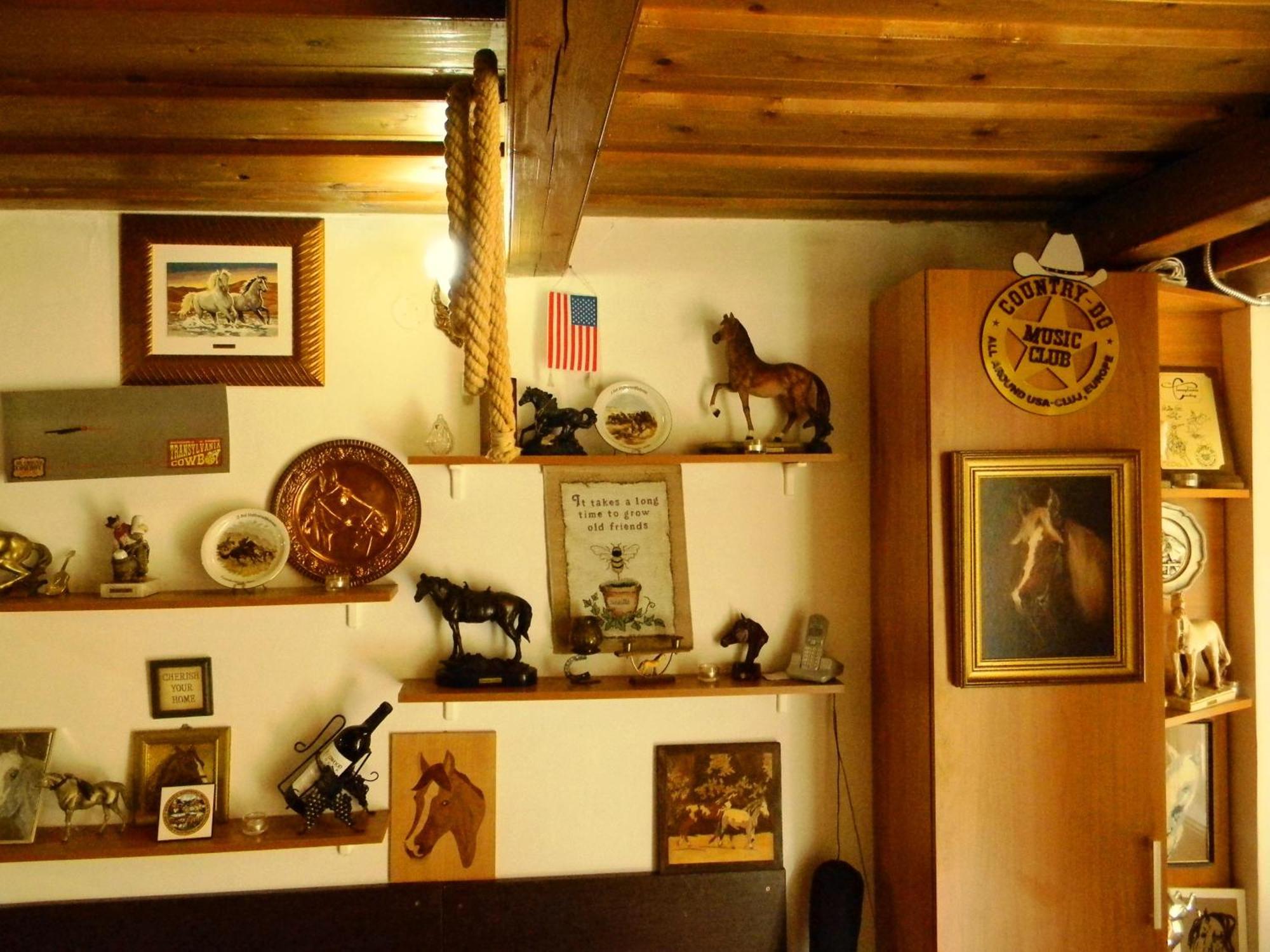 Transylvania Cowboy Cottage Cluj-Napoca Exteriör bild